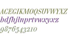 Danubia OT W03 Bold Italic