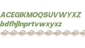 Chase Dreams Italic DEMO VERSIO