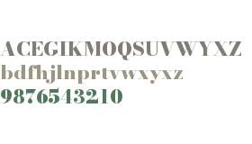 Bodoni* 16 Fatface
