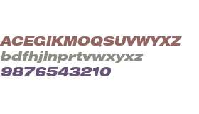Helvetica NeueLTW0693BlkExtObl