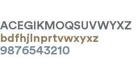 Circular Spotify Text Bold