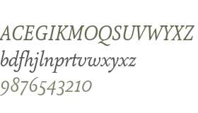 Atma Serif W05 Book Italic