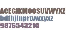 LK_BULLTOZ 02