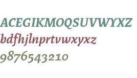 Test_Rayuela Negra Italica