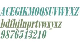 June 15 Wide Italic