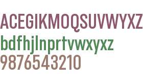 Blackbird Test Condensed Demi