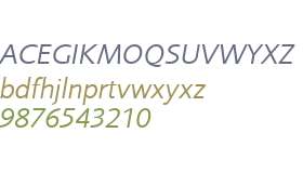 Foundry Sans Normal Italic
