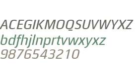 Quitador Sans W04 Medium Italic