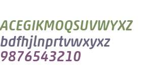 Akko Rounded W04 Medium Italic