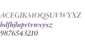 Rizoma Test M