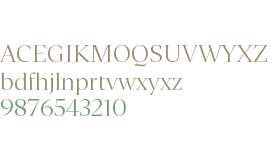 Gestura Display TRIAL Light