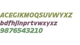 Ambiguity Normate Black Italic