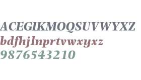 Photina MT W04 Bold Italic