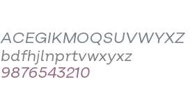 Salvatore Book Italic