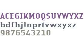 Authentic Serif W04 Medium
