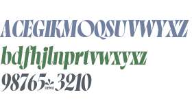 FSP DEMO - Norman Fat Italic2