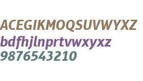 Aptifer Sans LT W04 Bold Italic