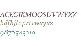 Constantia Italic