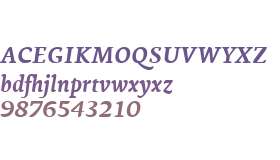 Ginkgo LT W01 Bold Italic