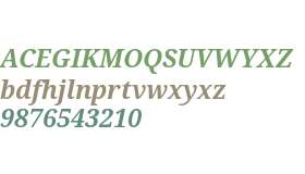 Droid Serif Bold Italic V1
