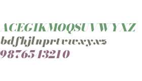 Bodoni* 24 Fatface Italic
