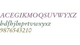 12 pt Stempel Garamond* Bold Italic 14108