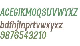 D Sert W01 Bold Italic