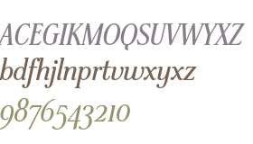 Stepp ITC Std Bold Italic