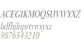 Transit Condensed Italic