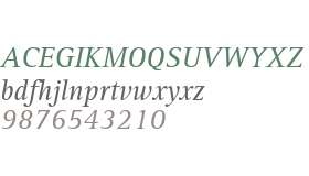 Rotis Serif Std Italic