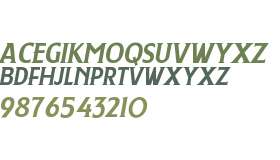 Berverlywood Italic Personal