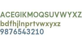 Flink Neue Cnd Test