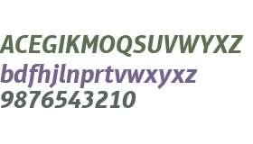 Aptifer Sans LT W01 Bold Italic