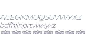 Asgard Trial Fit Xlight Italic