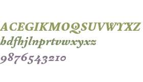 Test_Arlt SuperNegra Italica