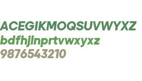 Primeform Pro Demo Black