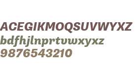 Supria Sans W01 Heavy Italic