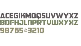 FSP DEMO - FTY GLCTC VNGRDN 002