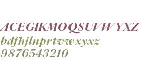 Parnaso Standard Trial Bold It