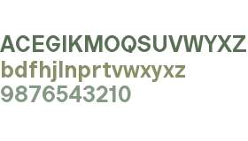 Copyright Bolditalic Studio Polyplast SmBd Trial