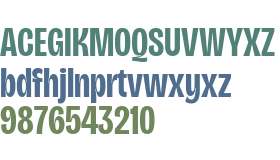 Bricolage Grotesque 48pt Condensed SemiBold