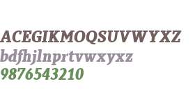 Sky Serif W01 Bold Italic