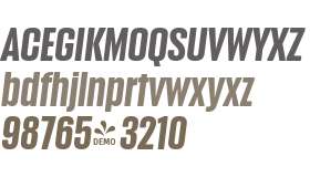 FSP DEMO - Anguita Sans Bold It