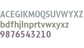 Compasso Condensed Test SmBold Cond