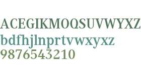 Generis Serif W01 Bold