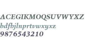 Sina W04 ExtraBold Italic