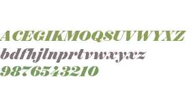 Surveyor Display Black Italic