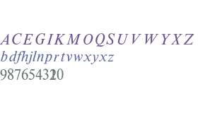 Times New Roman* MONOTYPE Math 2 Italic