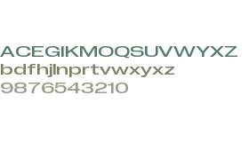 PP Neue Corp Extended Medium