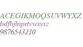 Timok Italic